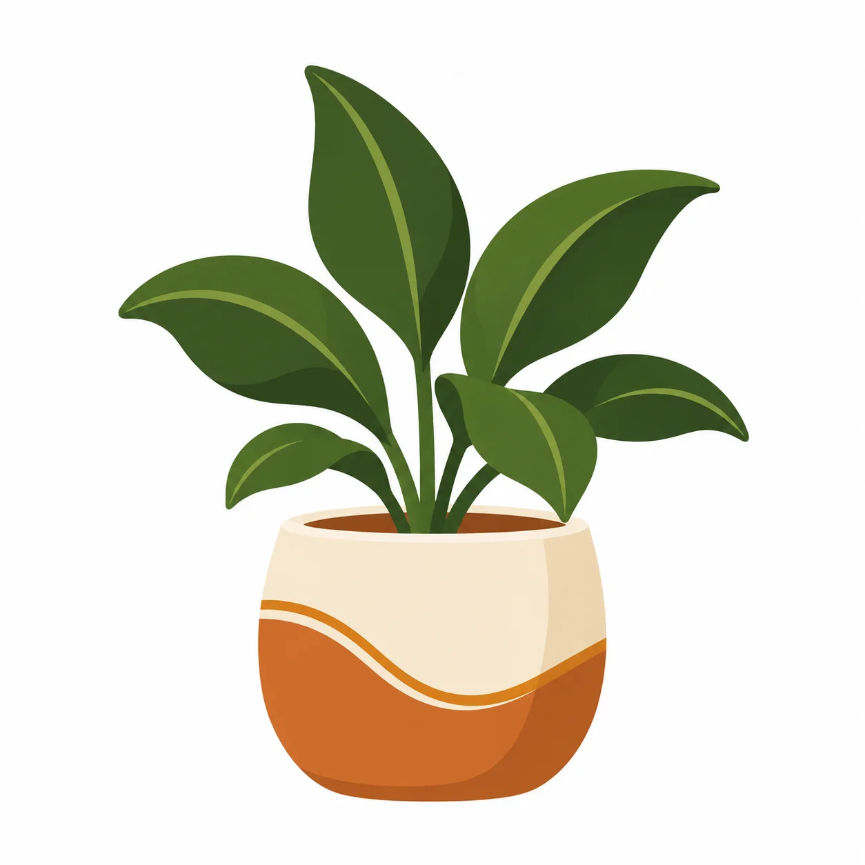 Plants