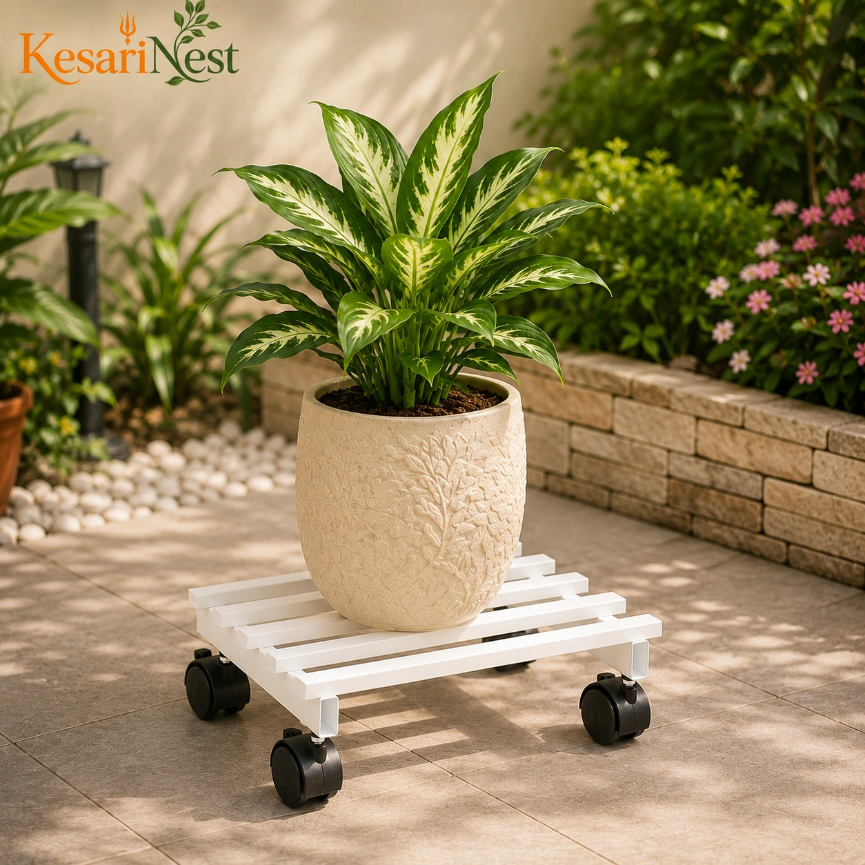Designer Movable Plant Stand with Wheels